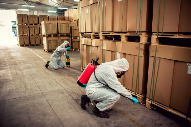 Best Best Pest Control Companies  in Abbeville, GA