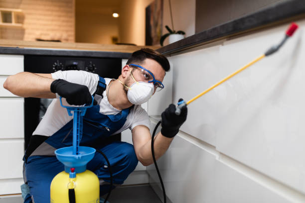 Best Pest Prevention Services  in Abbeville, GA