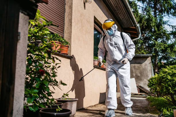 Best Exterminator Services  in Abbeville, GA