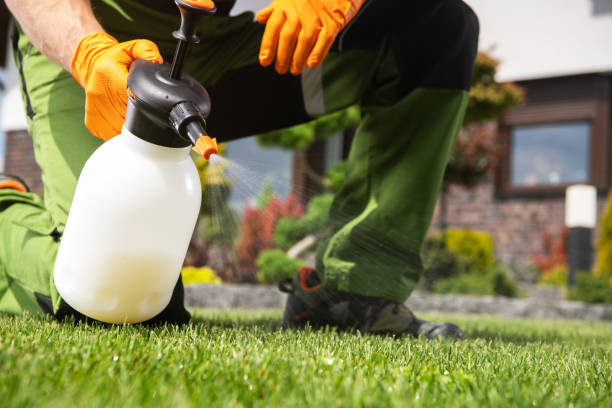 Best Local Pest Control Services  in Abbeville, GA