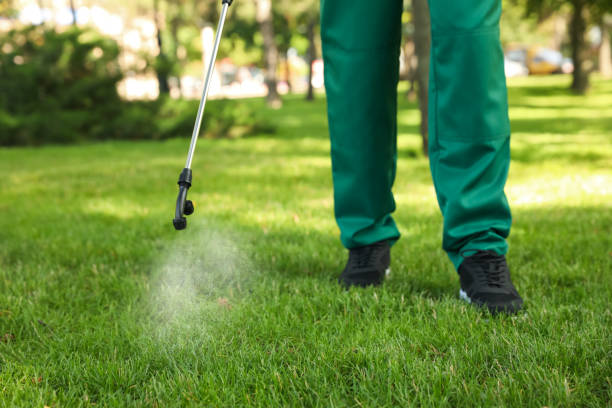 Best Pest Removal Services  in Abbeville, GA