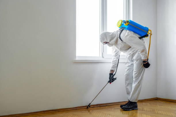 Best Affordable Pest Control Services  in Abbeville, GA
