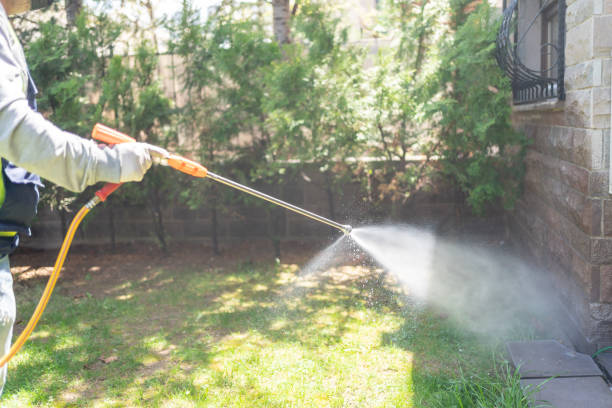 Best Flea Control Services  in Abbeville, GA