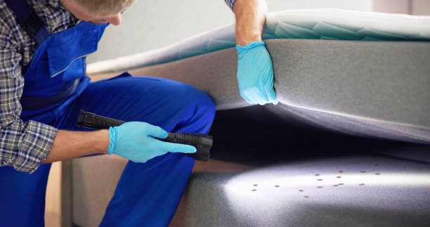 Best Ant Control Services  in Abbeville, GA