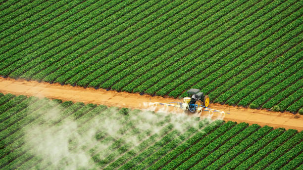 Best Pest Removal Services  in Abbeville, GA