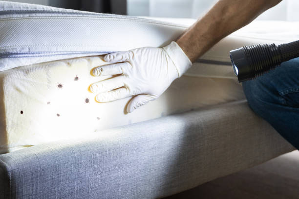 Best Commercial Pest Control Services  in Abbeville, GA