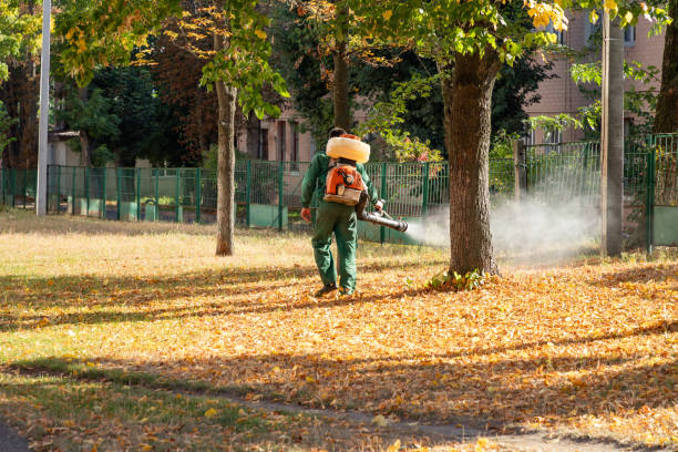 Reliable Abbeville, GA Pest Control Solutions