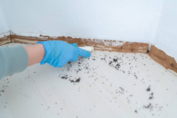 Pest Prevention Services in Abbeville, GA