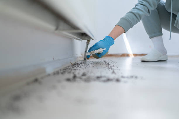 Best Pest Prevention Services  in Abbeville, GA