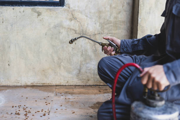 Best Rat Extermination Near Me  in Abbeville, GA